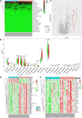 Effects of a natural nutritional supplement on immune cell infiltration and immune gene expression in exercise-induced injury